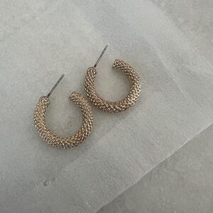 Elegant Gold Hoop Earrings